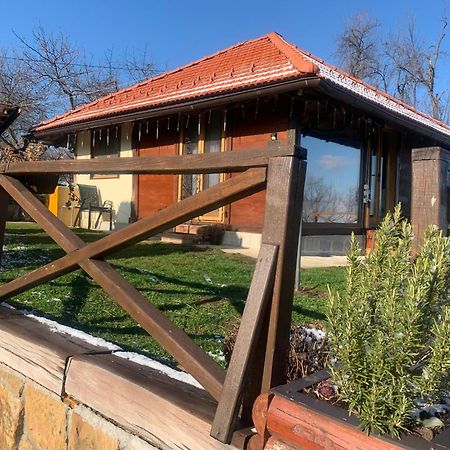 Apartmani Lunija 上米拉诺瓦茨 外观 照片